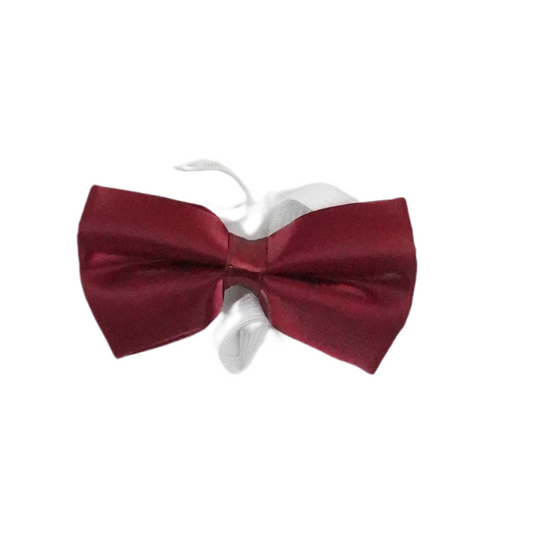 BOW TIE